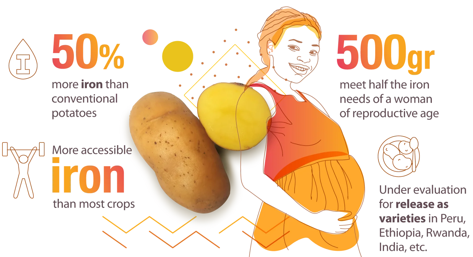 Key Advantages of Biofortified Potatoes